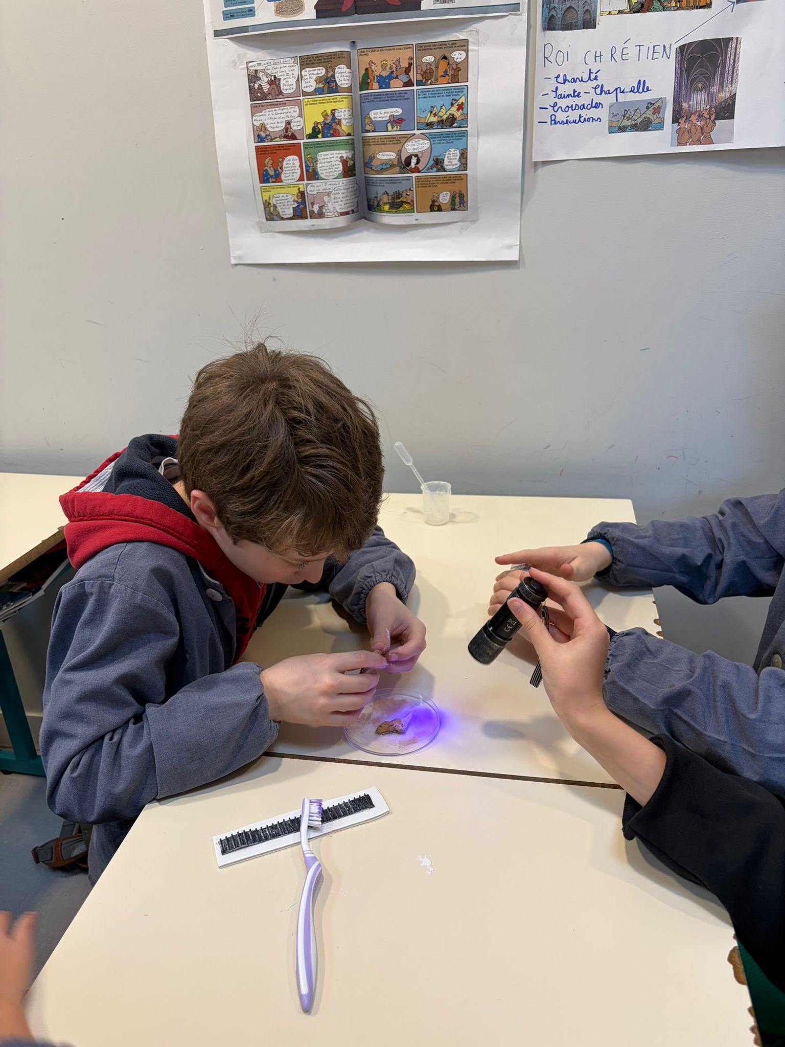 Ateliers de sciences en CM2