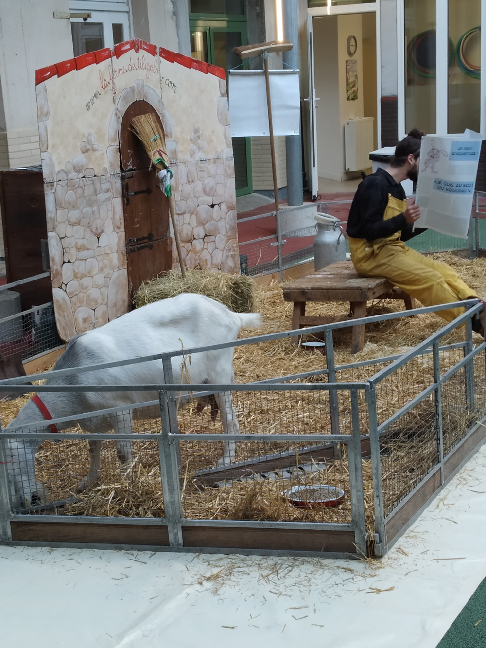 VISITE DE LA FERME TILIGOLO À L’ÉCOLE !