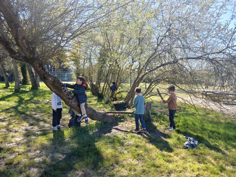 Voyage des classes du CP au CM2 à Piriac-sur-Mer