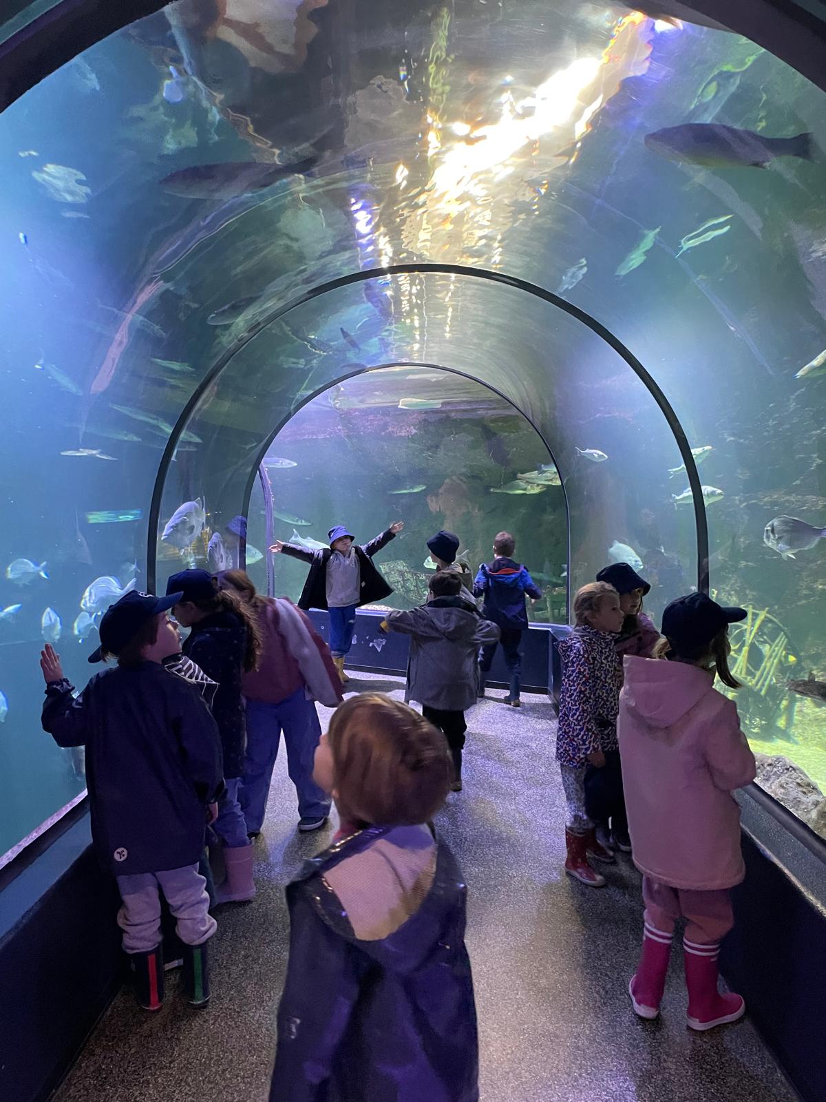 Voyage des classes du CP au CM2 à Piriac-sur-Mer